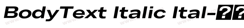 BodyText Italic Ital字体转换